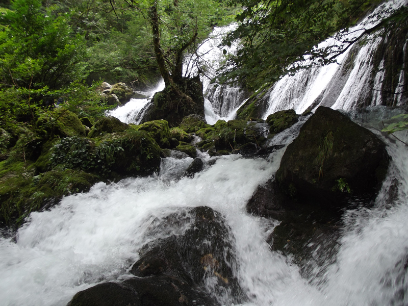 Breathtaking but unknown: Georgia’s beautiful places that tourists have no idea about geotv.ge
